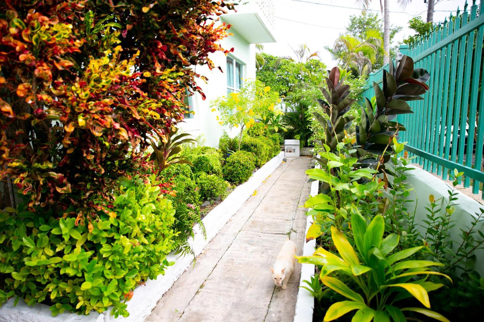 Numero Uno Beach Apartments San Juan Kültér fotó